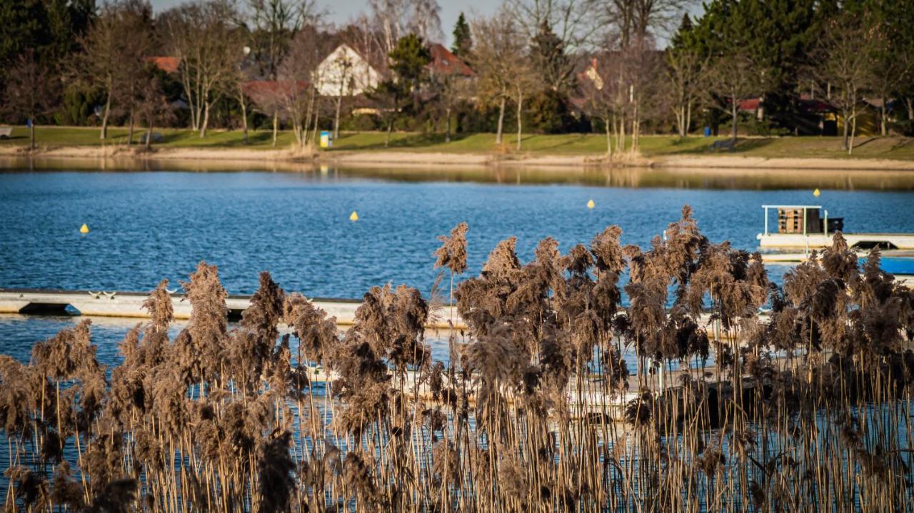 Ferienhaus Lucie Kiebitzsee Villa Falkenberg/Elster Bagian luar foto